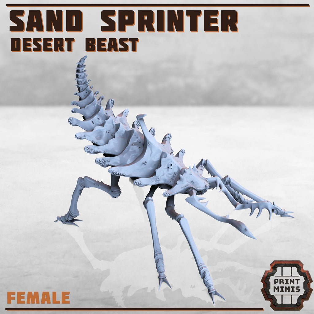 Erroish Tribe - Sand Sprinter (1) - Resin Miniatures - ProxiesAU