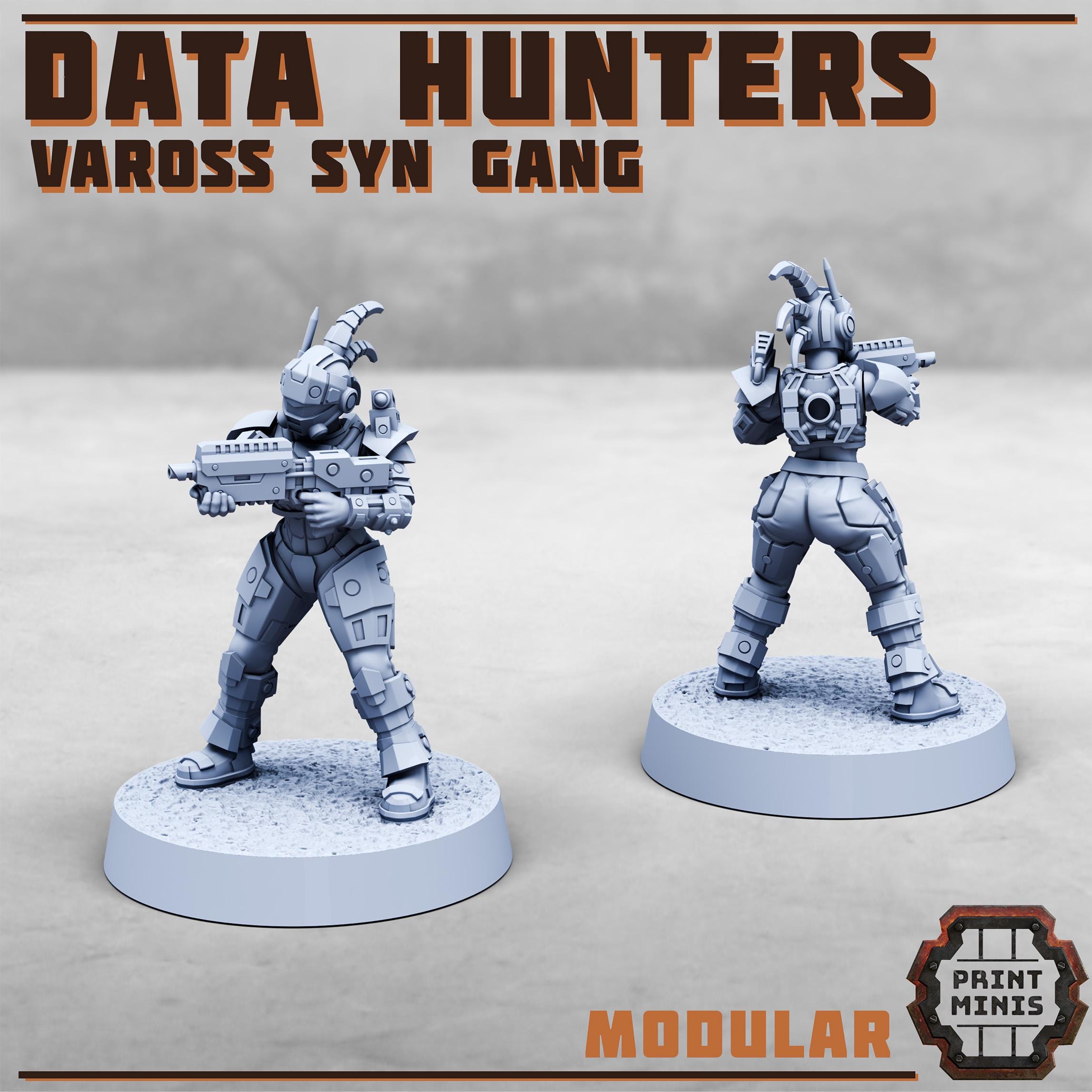 Vaross Syn Data Hunters Gang (8)