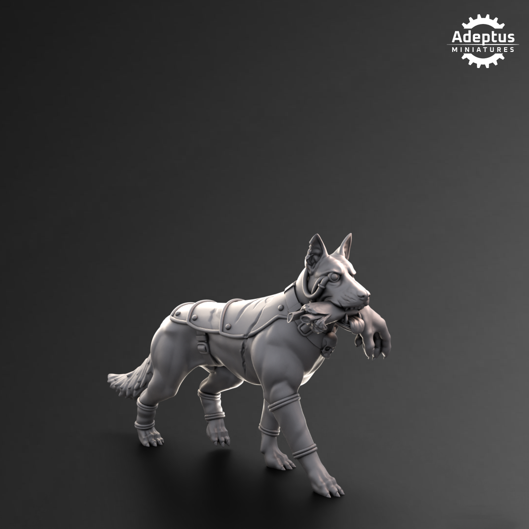 Mercenary Syndicate Kill Squad (10)