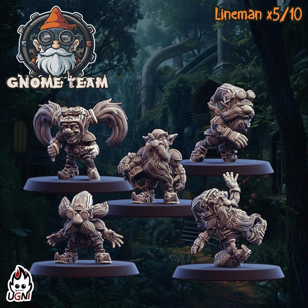 Gnome Team (23)