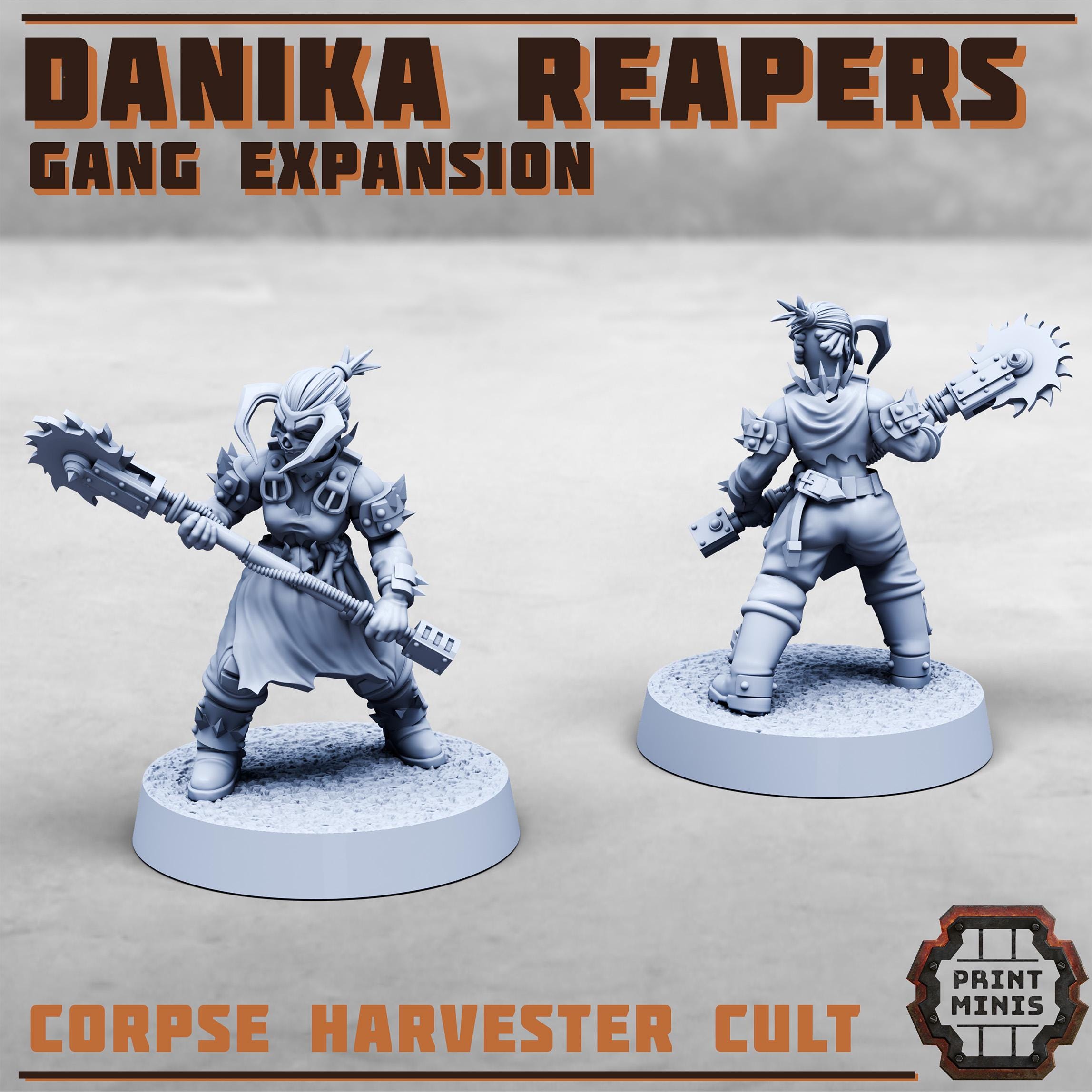 Danika Reapers Gang - Expansion (10)
