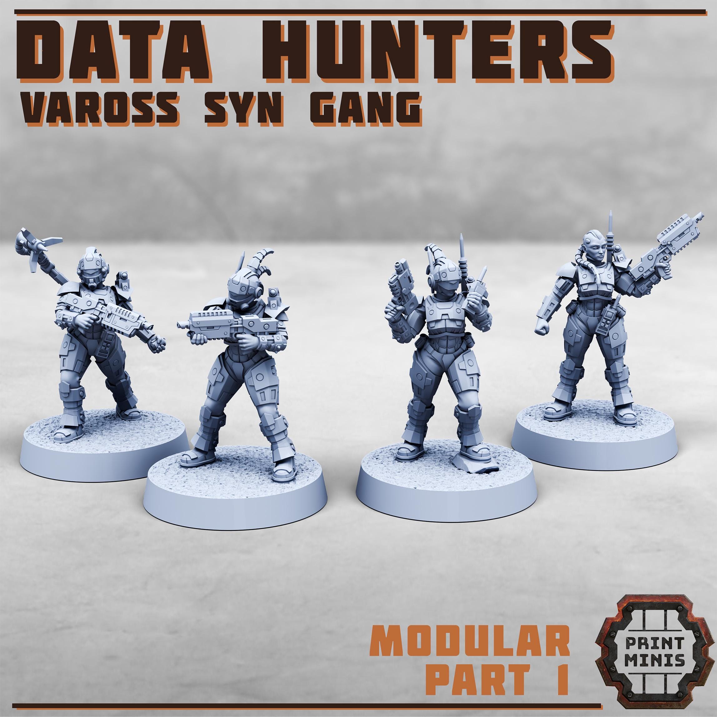 Vaross Syn Data Hunters Gang (8)