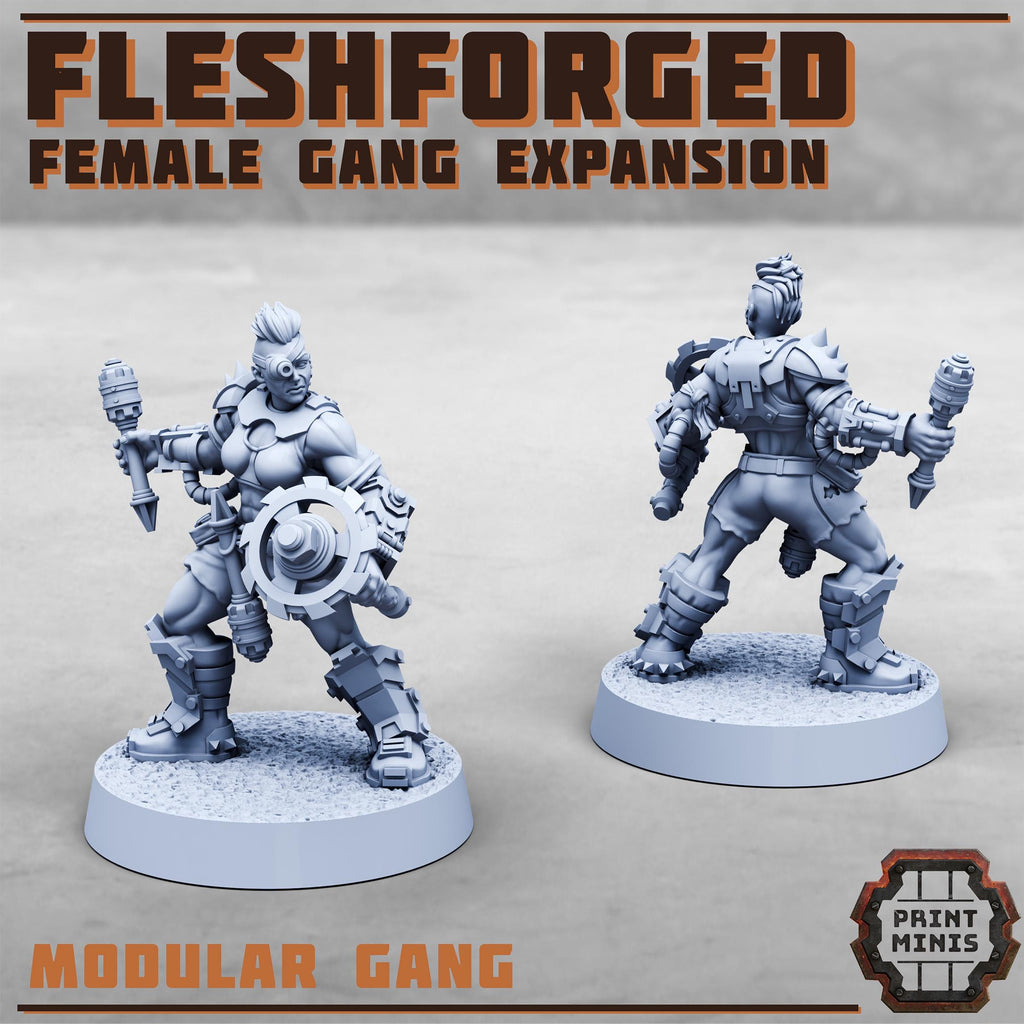 The Fleshforged Gang - Female Expansion (8)