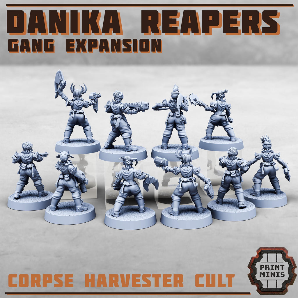 Danika Reapers Gang - Expansion (10)