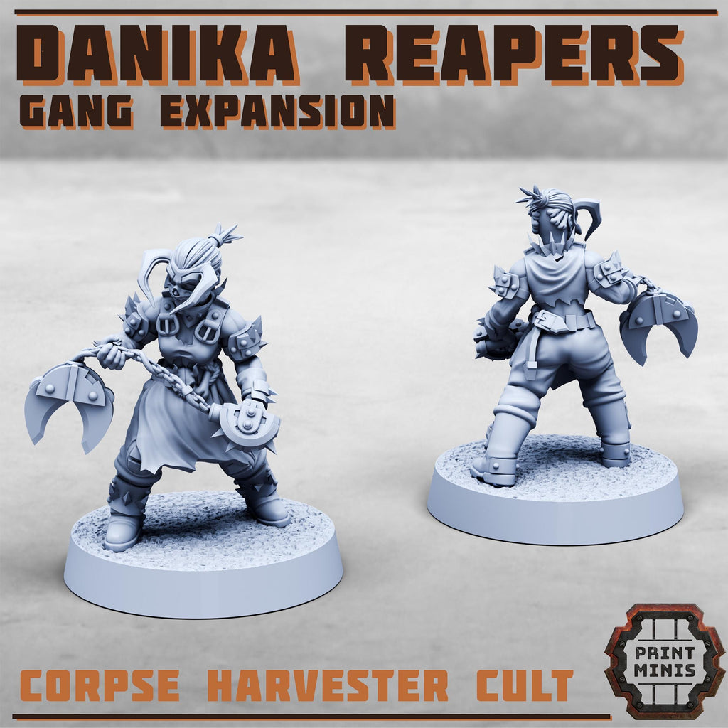 Danika Reapers Gang - Expansion (10)