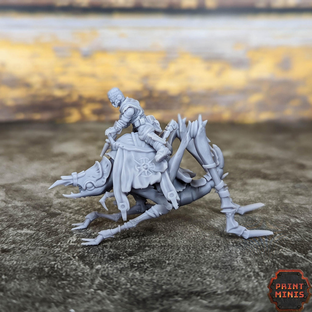 Erroish Tribe - Riders (5)