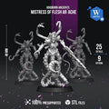 Dark Space Elves Mistress of Flesh Ar`ache