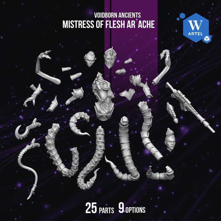 Dark Space Elves Mistress of Flesh Ar`ache