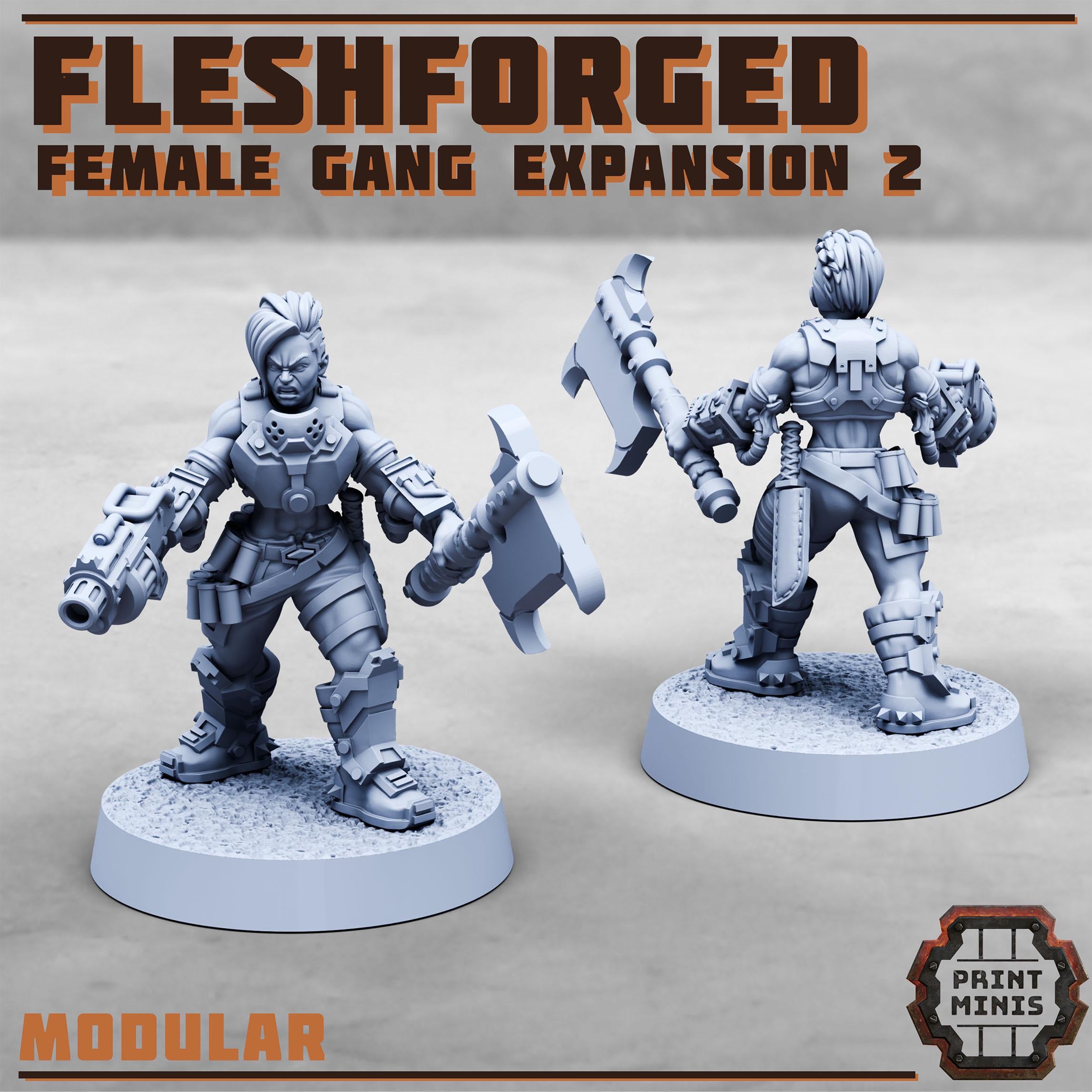 The Fleshforged Gang - Female Expansion 2 (7)