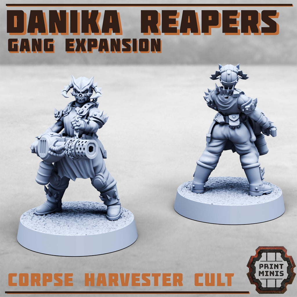 Danika Reapers Gang - Expansion (10)