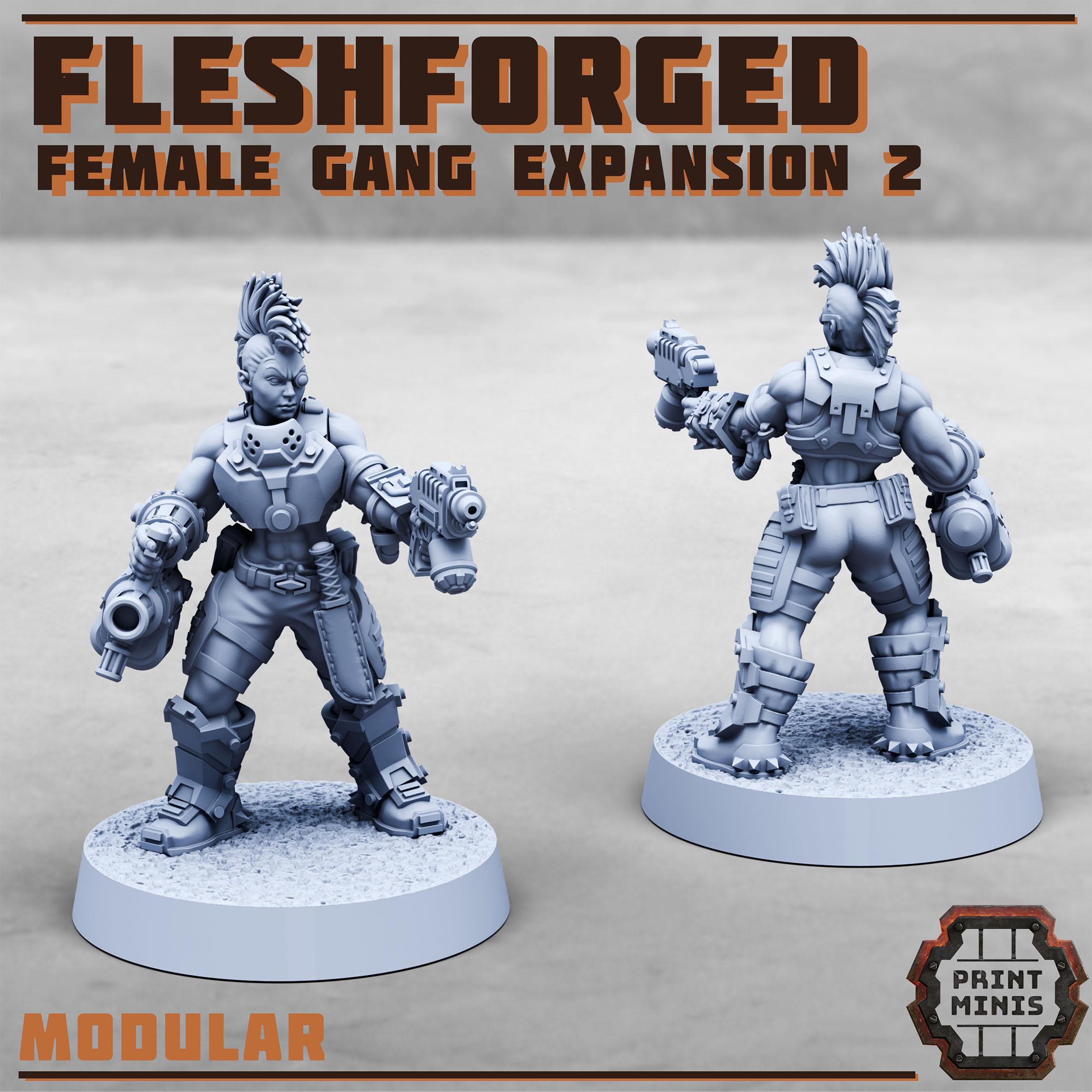 The Fleshforged Gang - Female Expansion 2 (7)