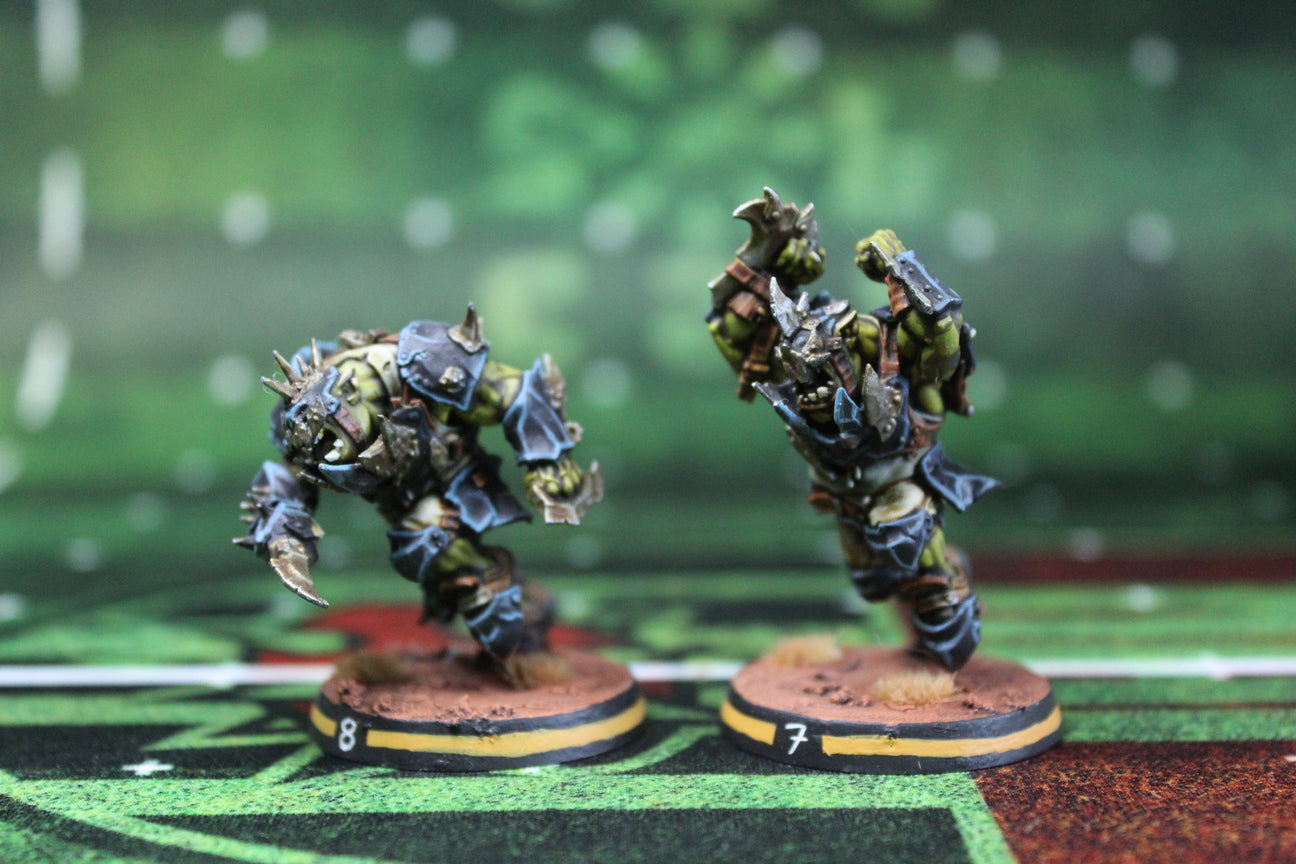 Pig Iron Pummelers Orc Football Team (20)