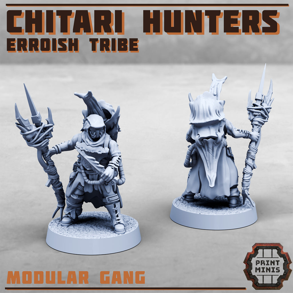Erroish Tribe - Chitari Hunters (10)