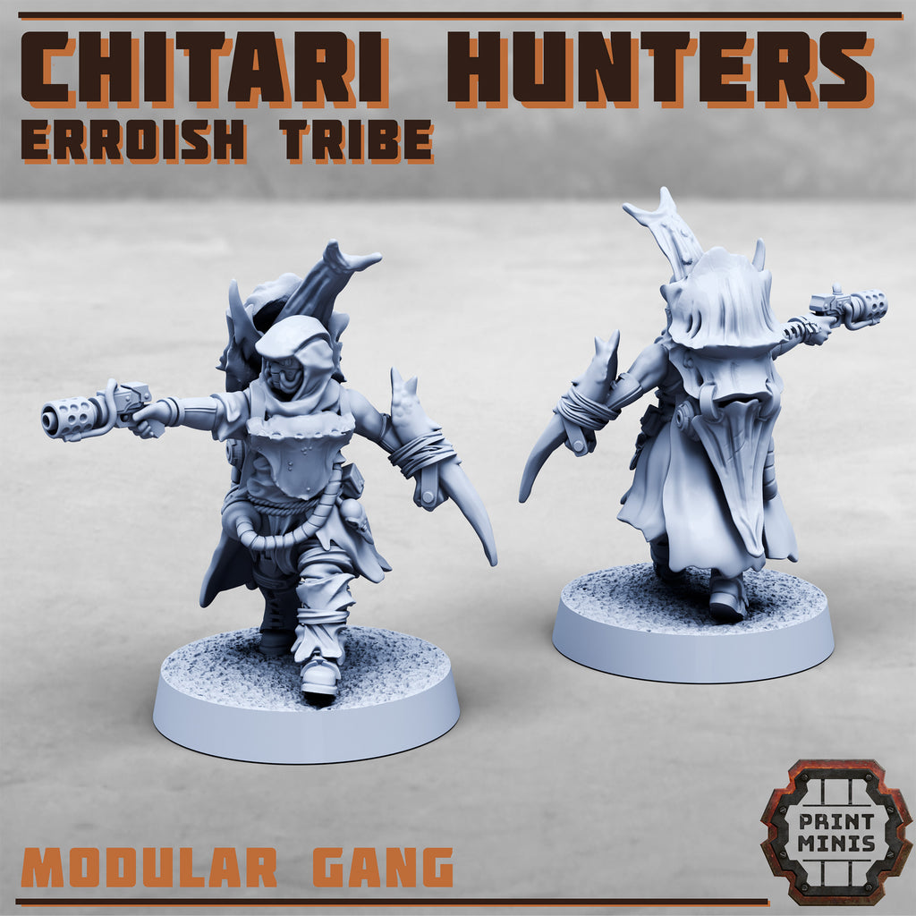 Erroish Tribe - Chitari Hunters (10)