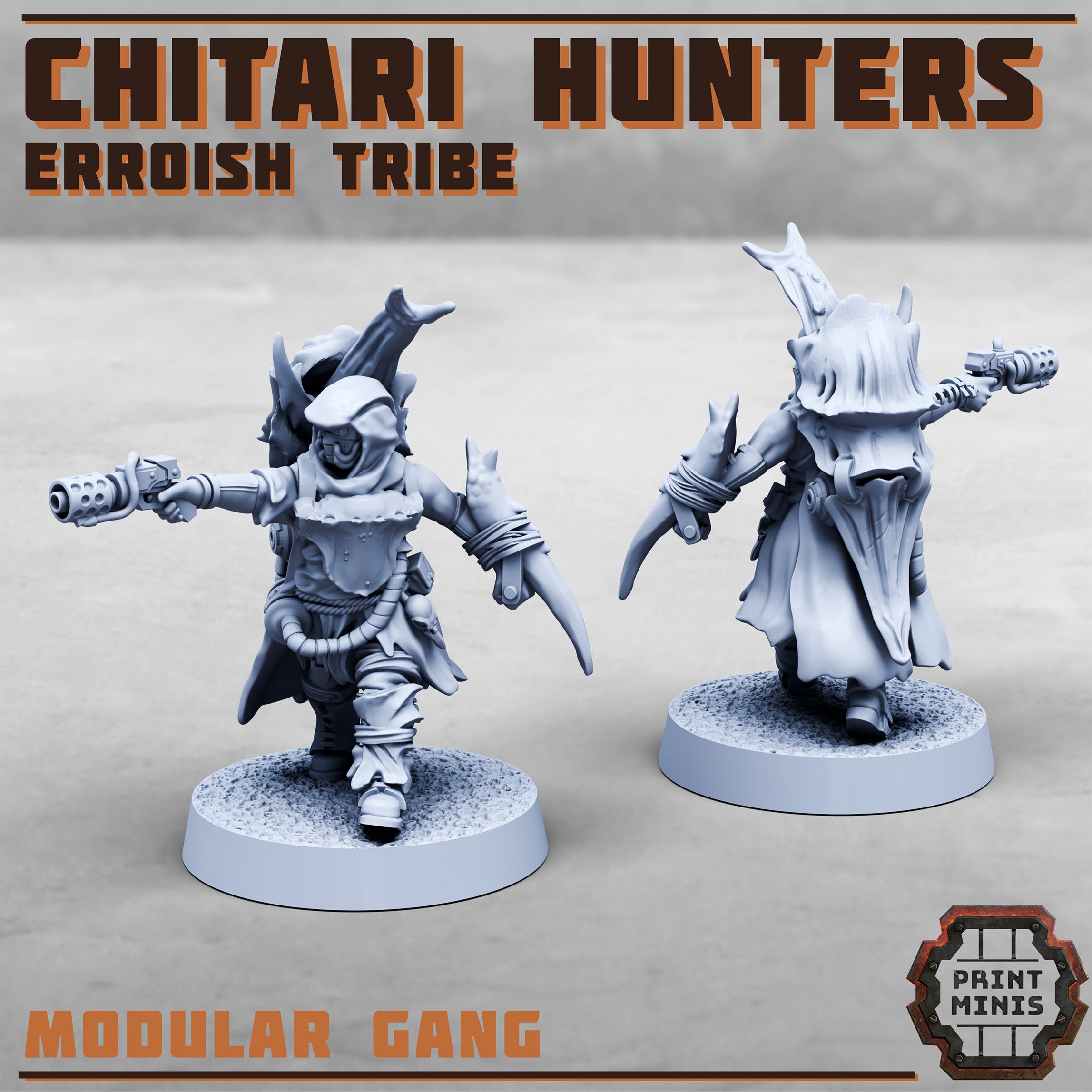 Erroish Tribe - Chitari Hunters (10)