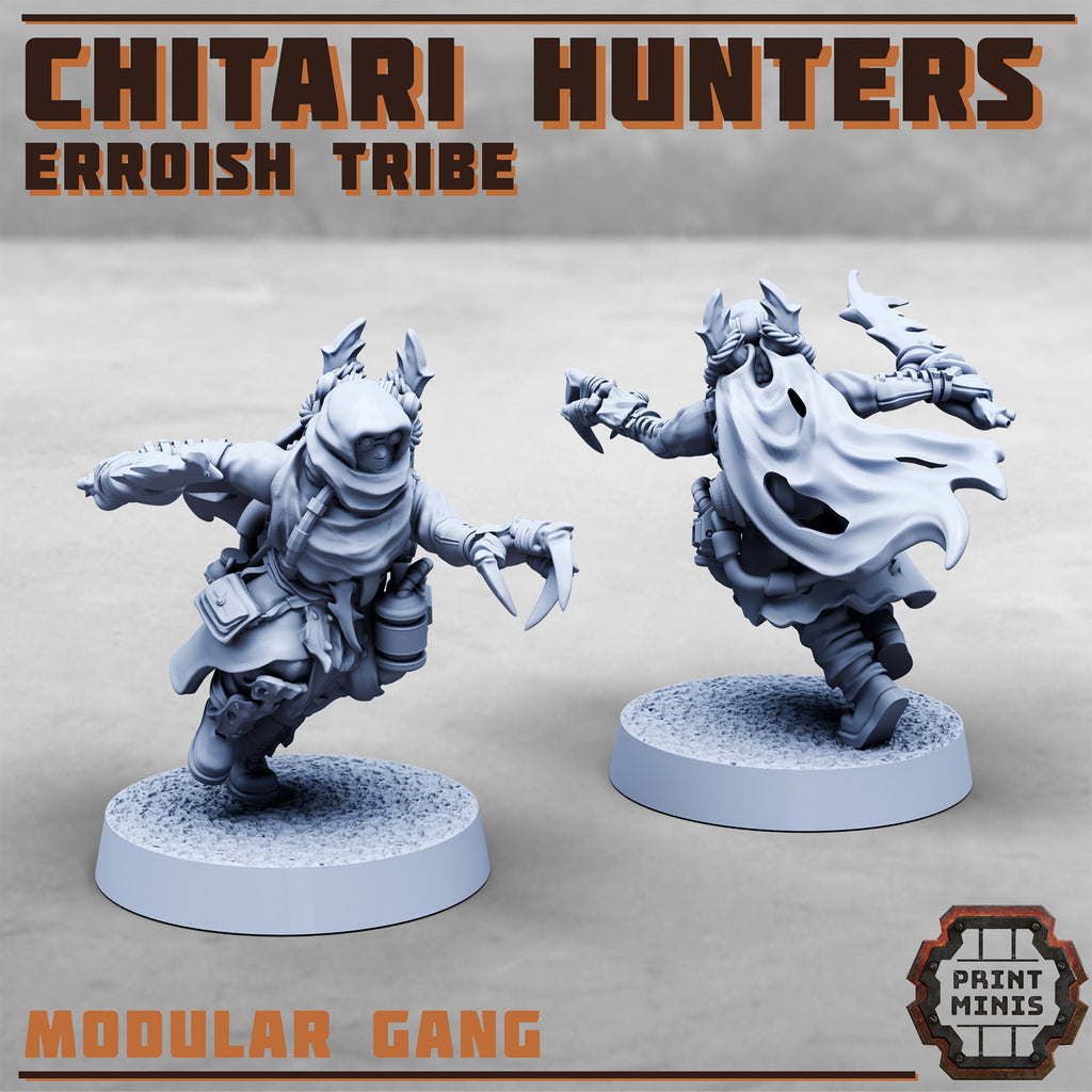 Erroish Tribe - Chitari Hunters (10)