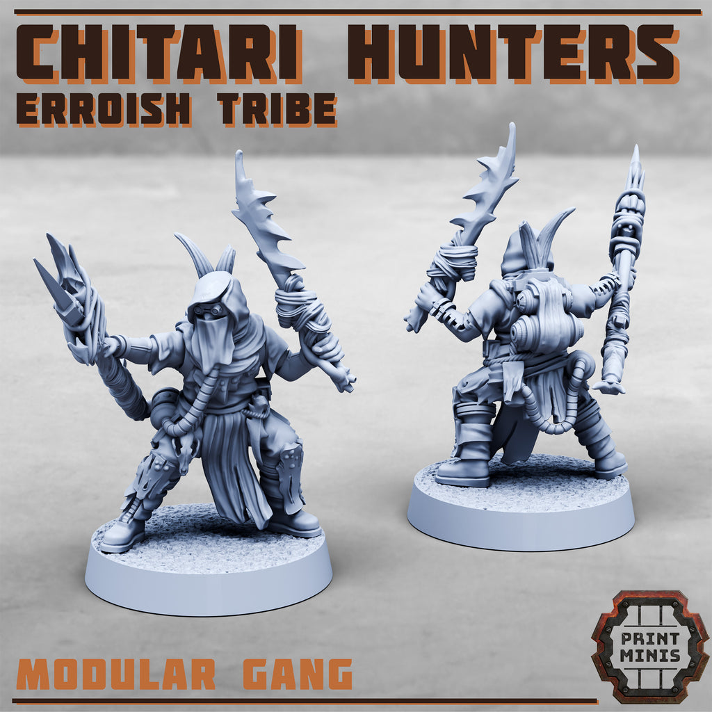 Erroish Tribe - Chitari Hunters (10)