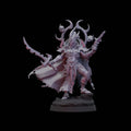 Dark Space Elves Hierarch (1)