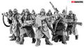 Death Division Grenadiers (10)