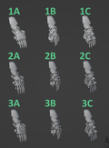 Eternal Pilgrim Big Claws (9pcs)