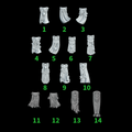 Eternal Pilgrim Loincloths (14pcs)