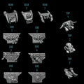 Primal Hounds Bike Armor (1) - Resin Bits - ProxiesAU