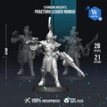 Space Elves Praetorii Nomad Leader