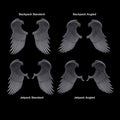Crimson Lords Wings