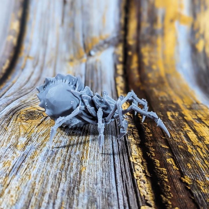 Beasts - Sump Spider (1) - Resin Miniatures - ProxiesAU