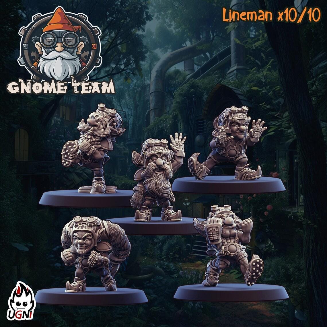 Gnome Team (23)
