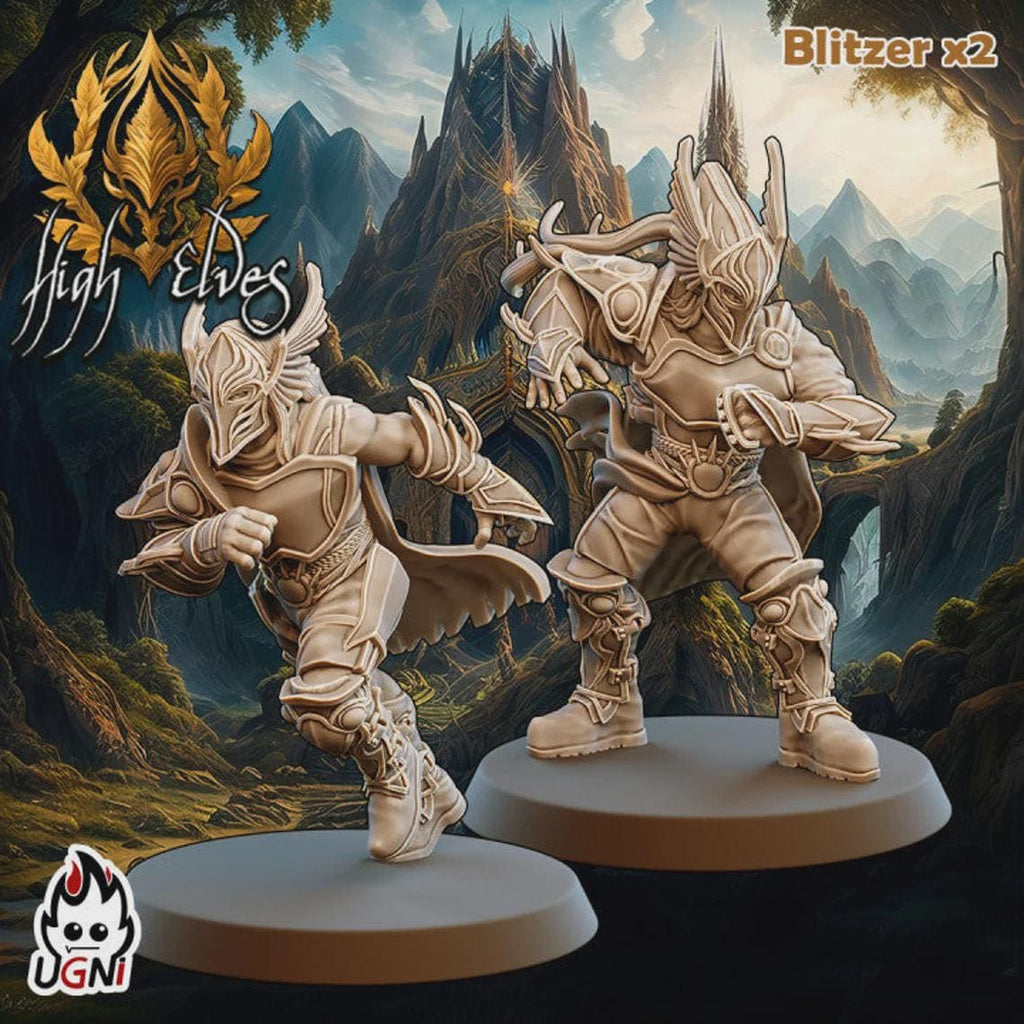 High Elves Team (16)