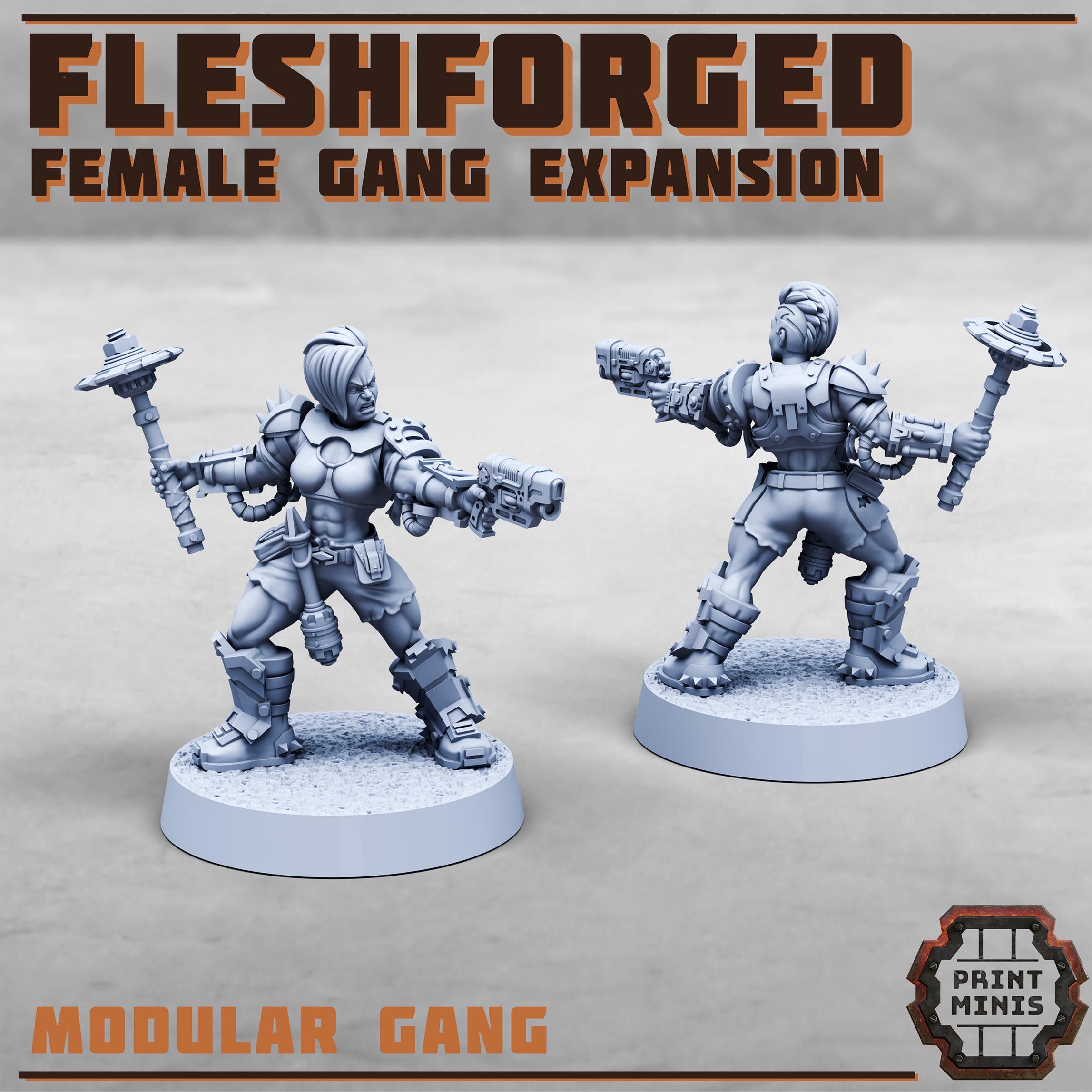 The Fleshforged Gang - Female Expansion (8)