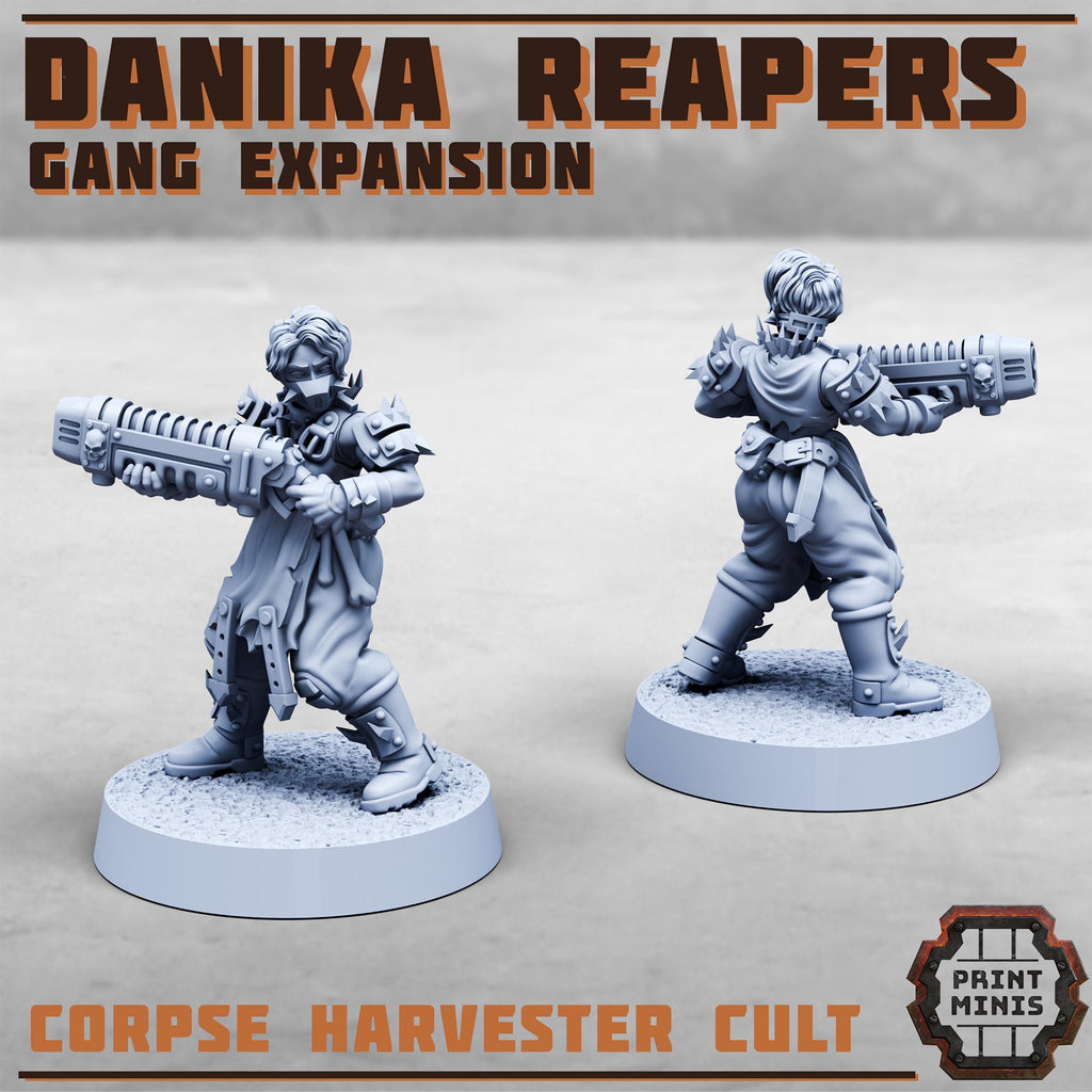 Danika Reapers Gang - Expansion (10)