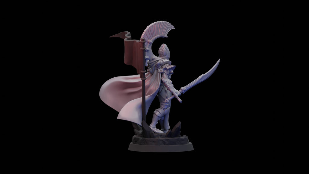 Space Elf Elite Lord (1)