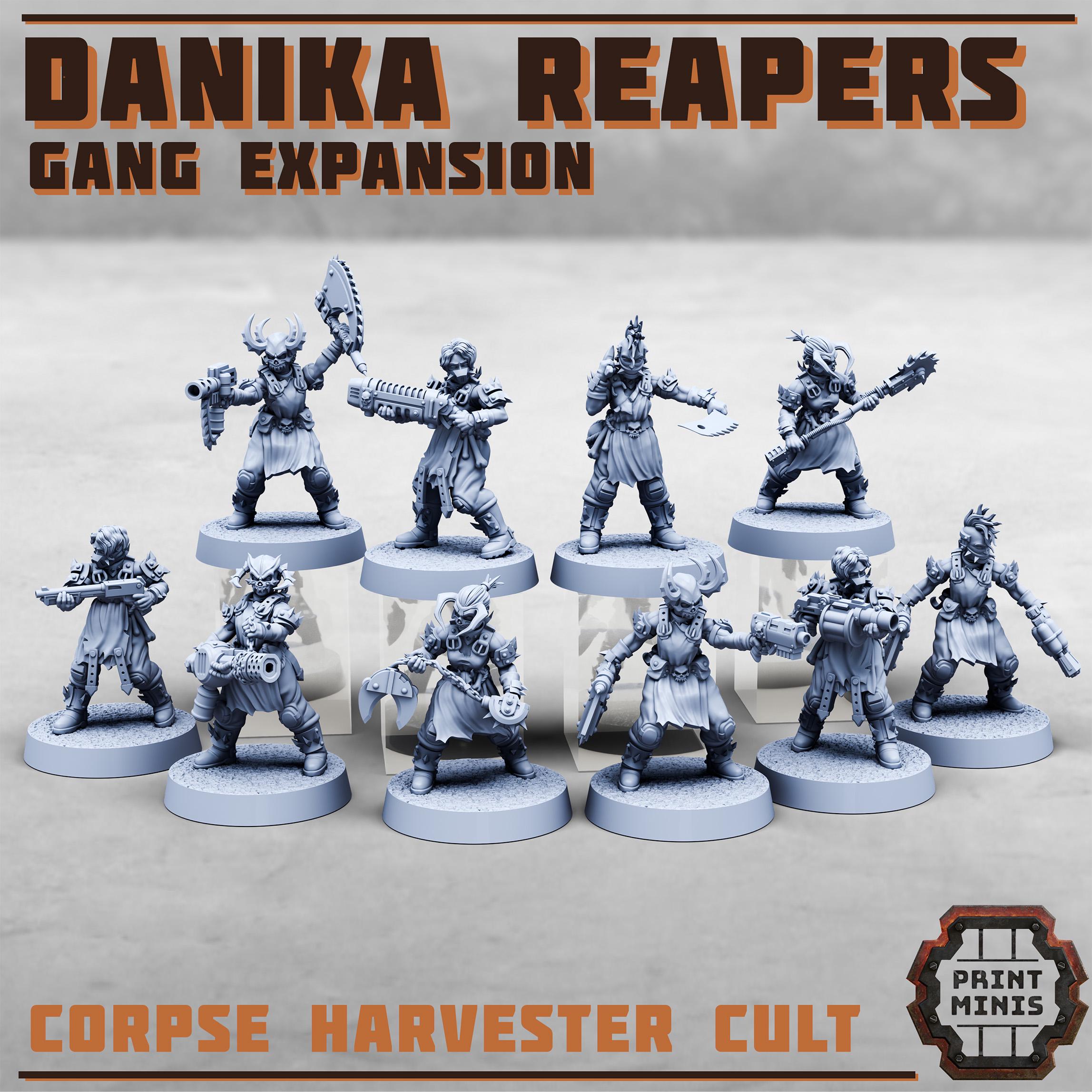 Danika Reapers Gang Expansion (10)