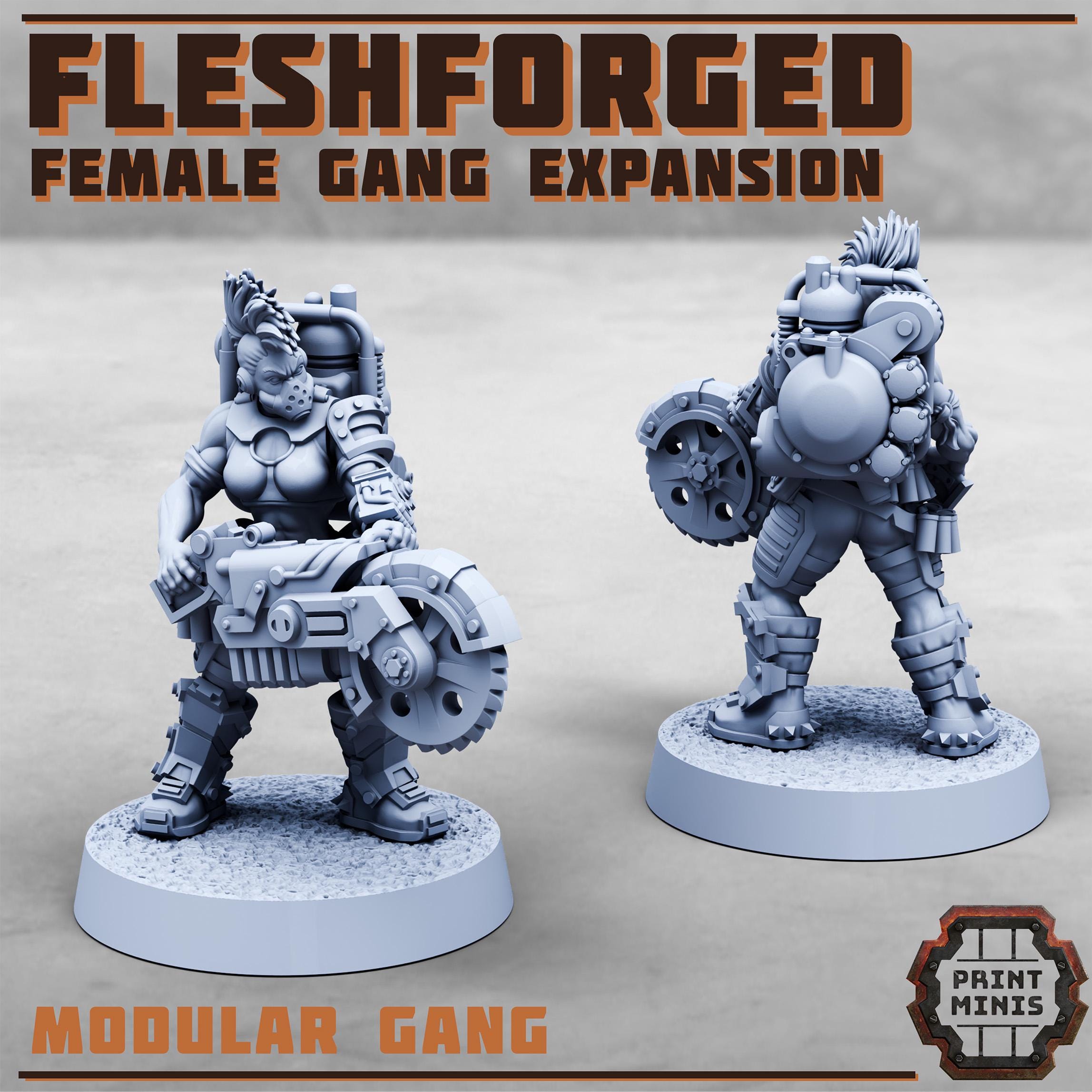 The Fleshforged Gang - Female Expansion (8)