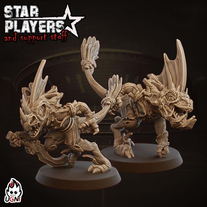 Star Player - Scinks Brothers Bron & Brobl (2)