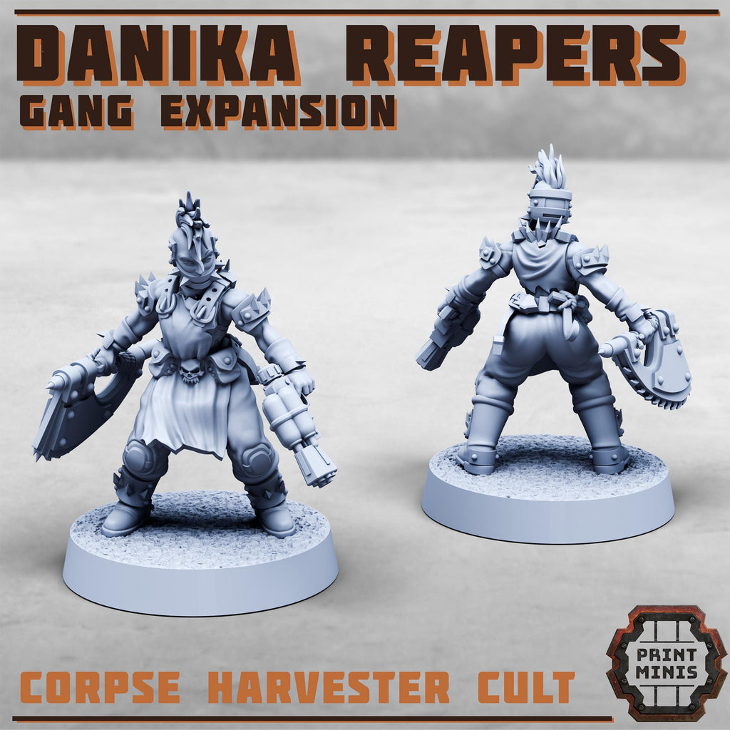 Danika Reapers Gang - Expansion (10)