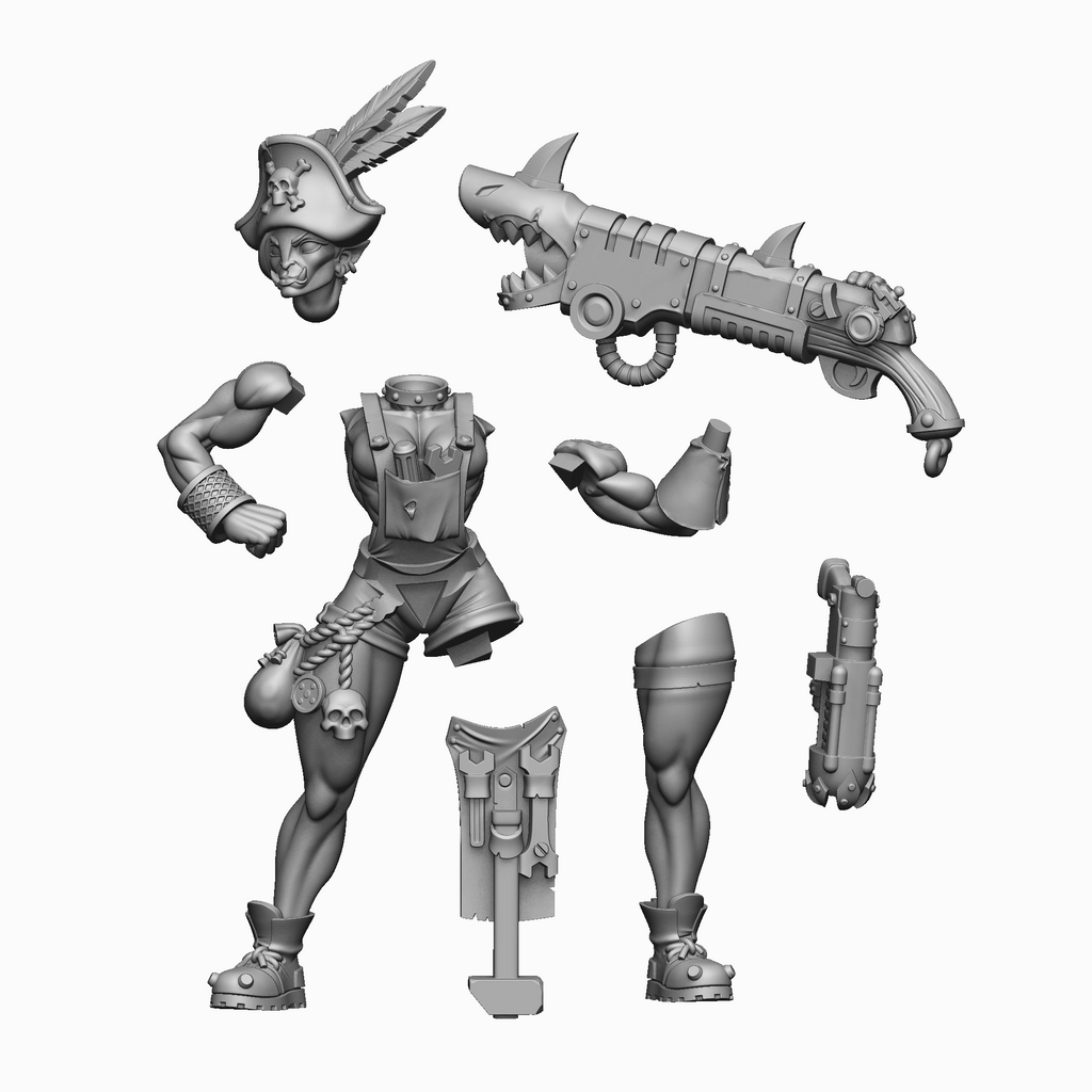 Space Orc - Pirate Lady Mechbat